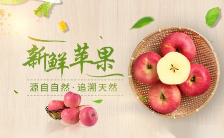旭隆xulong怎么样