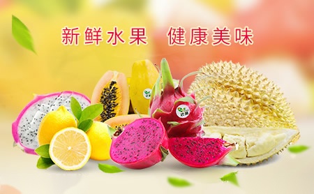 英王漆yingwang怎么样