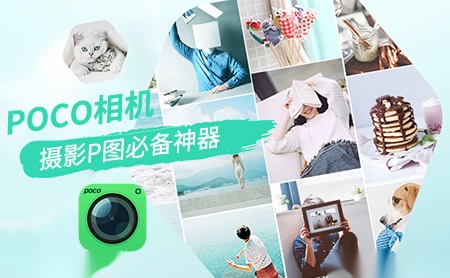 纪源资本ggv怎么样
