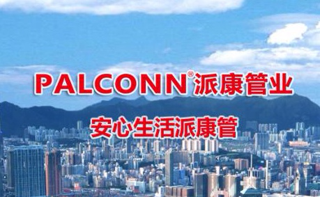 派康怎么样