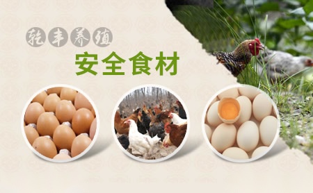 伟轶waiyat怎么样
