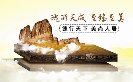 德美domy怎么样
