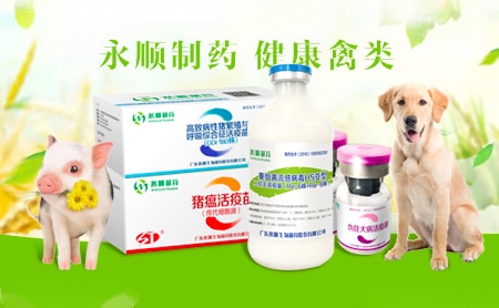 根河genhe怎么样