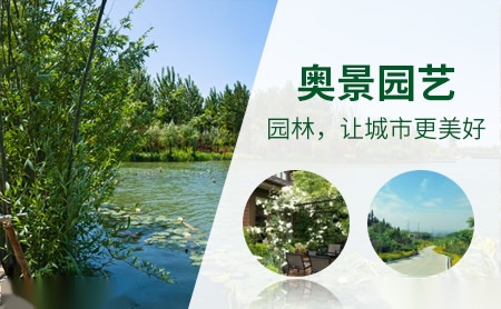 奥景aojing怎么样