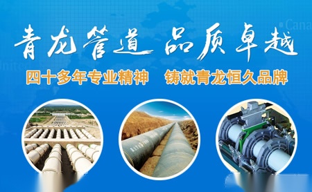 青龙怎么样
