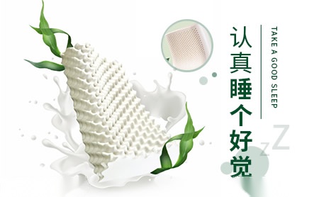 圣华盾swoto怎么样